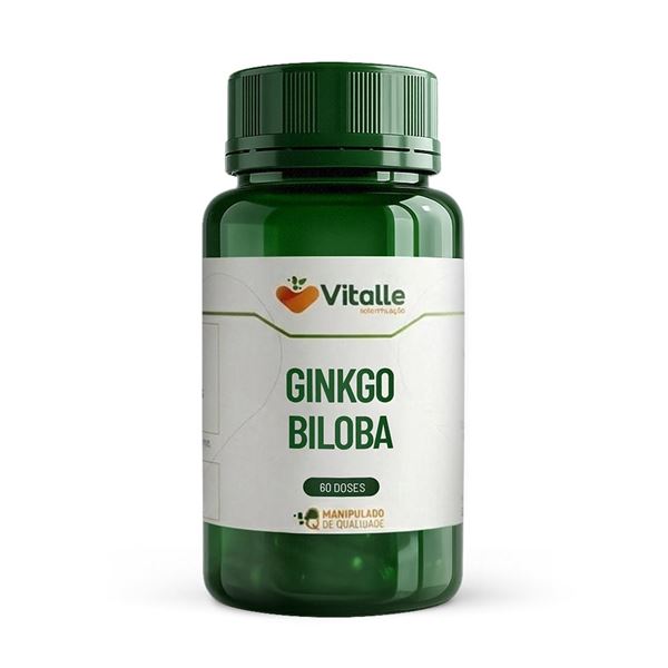Ginkgo Biloba 120mg 60 Doses